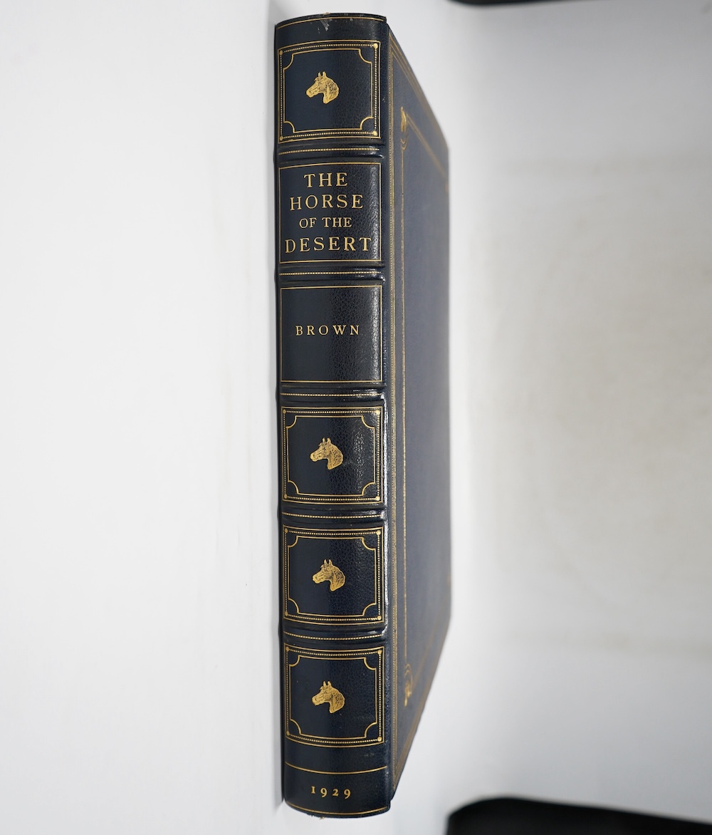 Brown, William Robinson - The Horse of the Desert ... De Luxe Edition (of 75 numbered copies, signed by the author). coloured frontis. and numerous plates (3 coloured), 2 maps (1 coloured, 1 double page), text illus.; ha